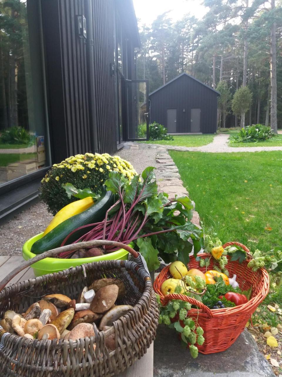 Hobekala Guesthouse Kalana 外观 照片